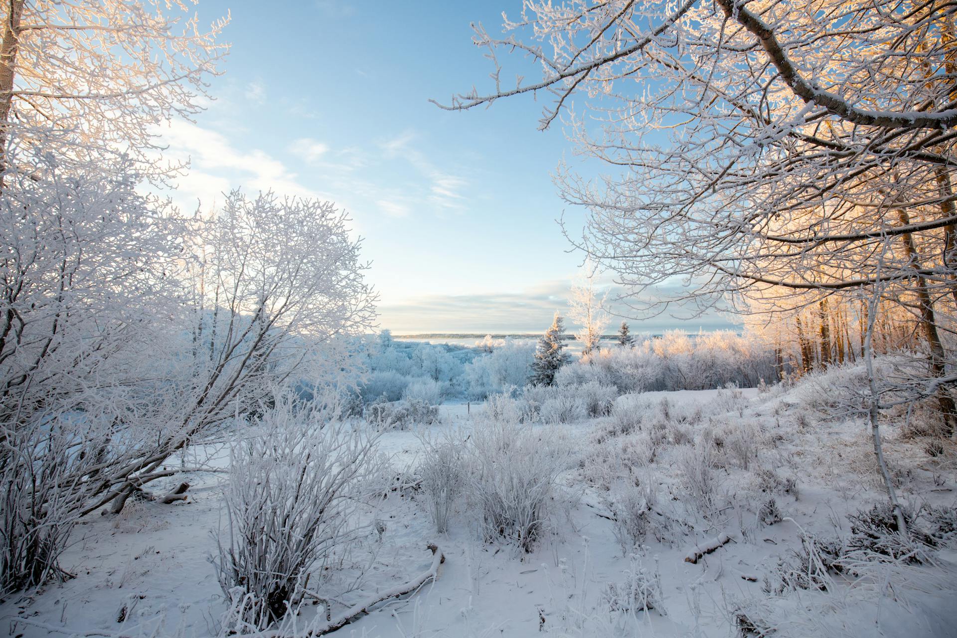Alaska mountain landscape