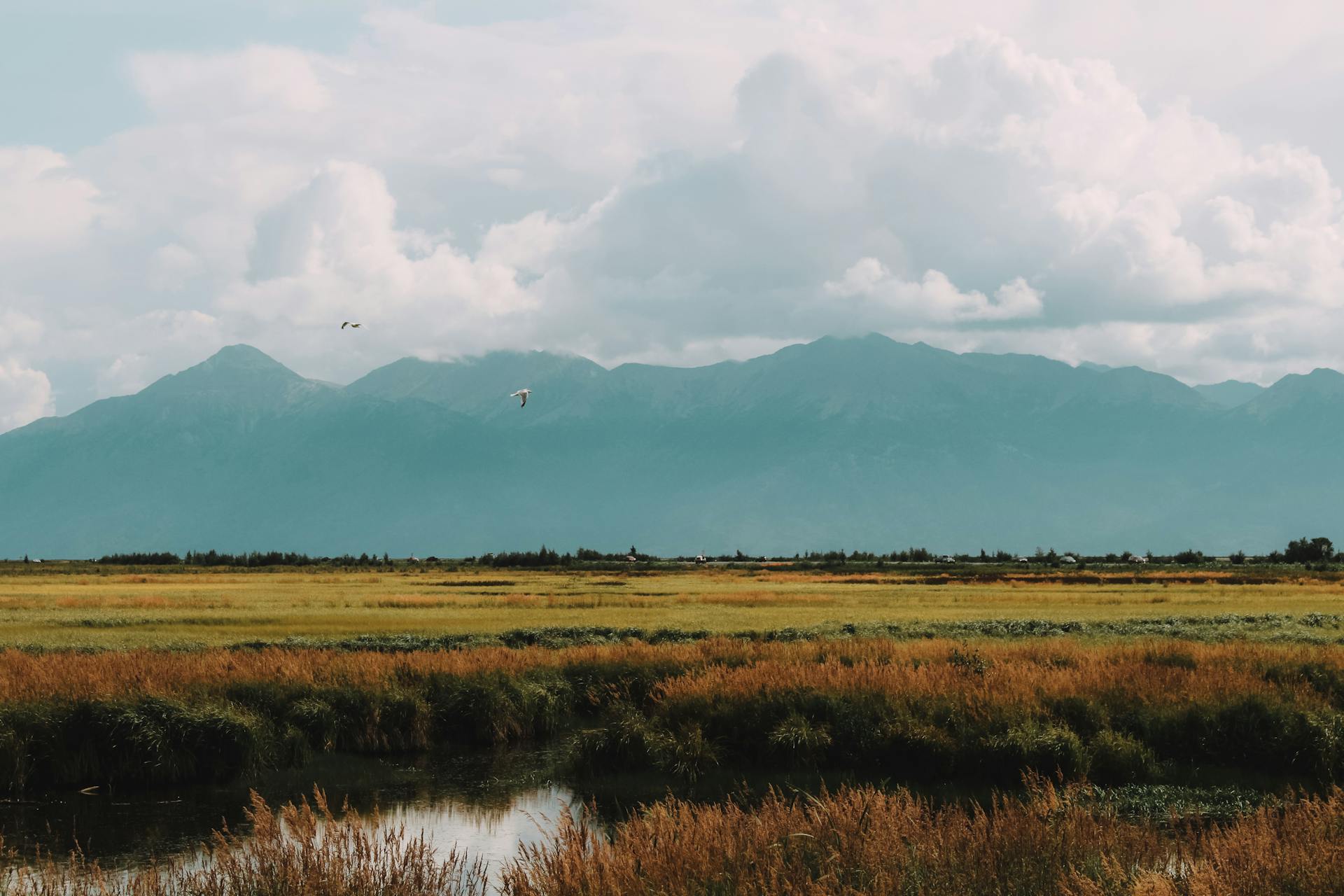 Alaska mountain landscape near Anchorage